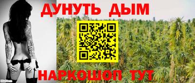 прущие грибы Жуковский