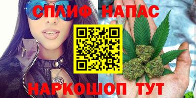 гидра Заволжье