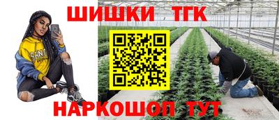 гидра Заволжье