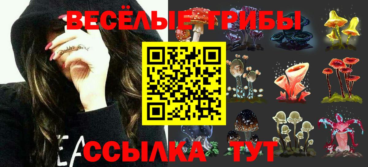 закладка  Псилоцибиновые грибы мухоморы  Вход с VPN  Ишим 